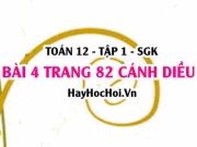 Bài 4 trang 82 Toán 12 tập 1 Cánh Diều